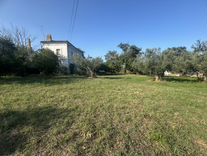 Image No.41-Ferme à vendre à Fossacesia