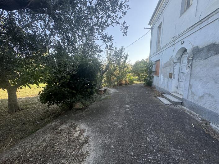 Image No.43-Ferme à vendre à Fossacesia