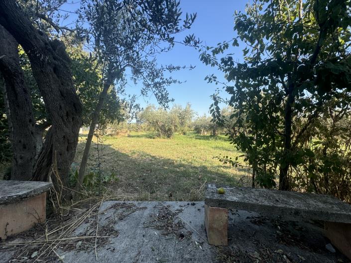 Image No.45-Ferme à vendre à Fossacesia