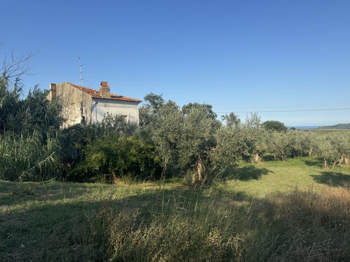 Image No.48-Ferme à vendre à Fossacesia