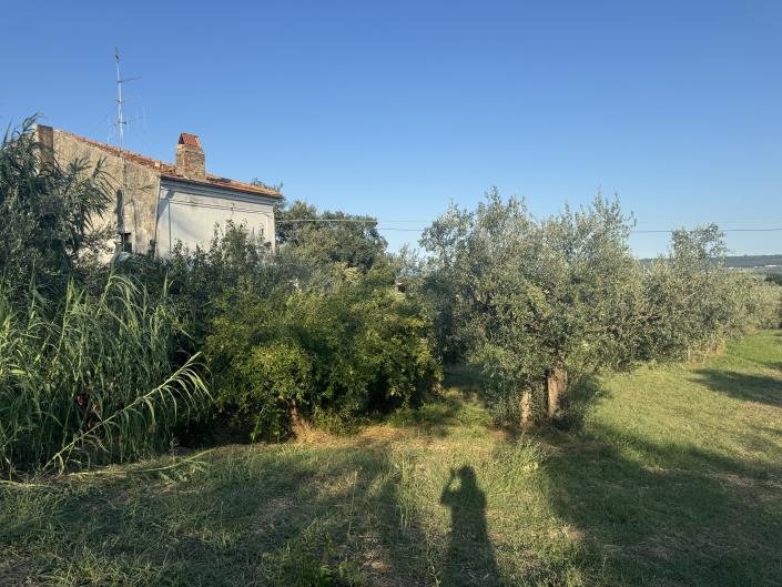 Image No.47-Ferme à vendre à Fossacesia