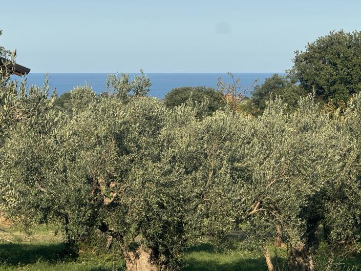 Image No.4-Ferme à vendre à Fossacesia