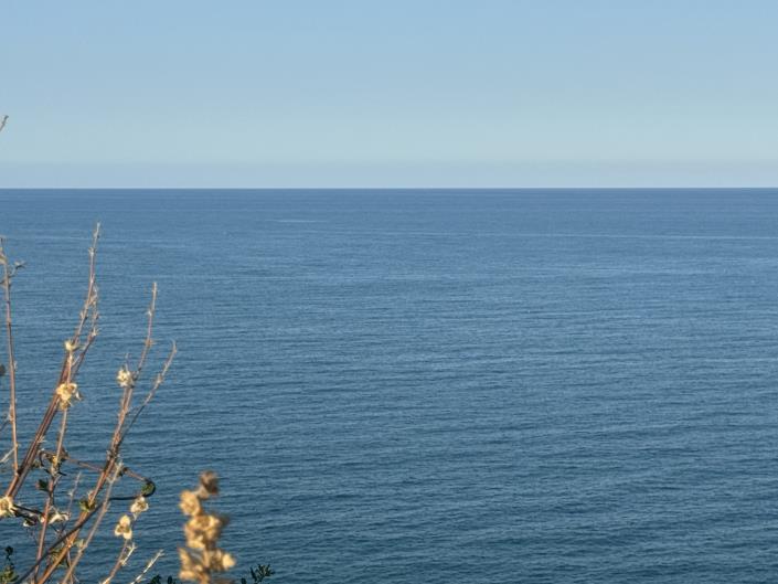 Image No.50-Ferme à vendre à Fossacesia