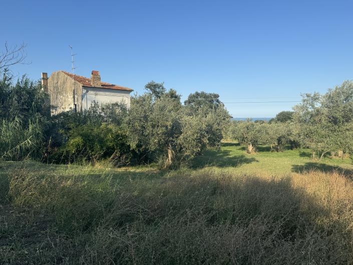 Image No.49-Ferme à vendre à Fossacesia