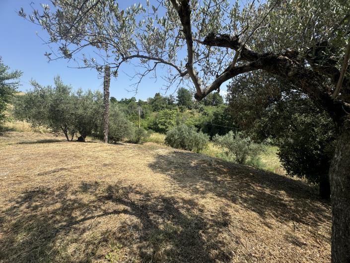 Image No.57-2 Bed Semi-Detached for sale