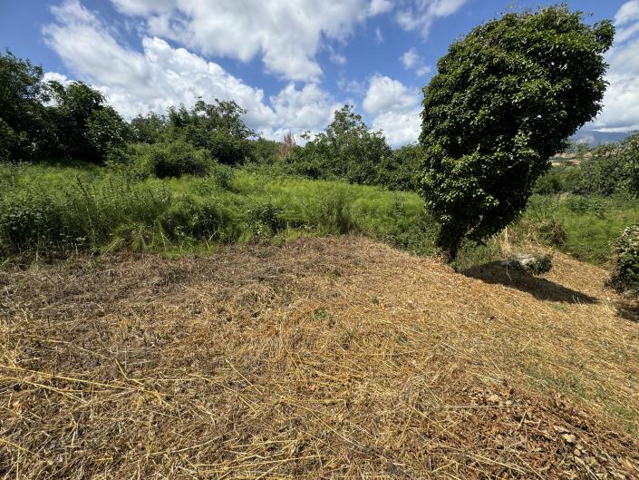 Image No.4-Maison de village de 2 chambres à vendre à Torricella Peligna