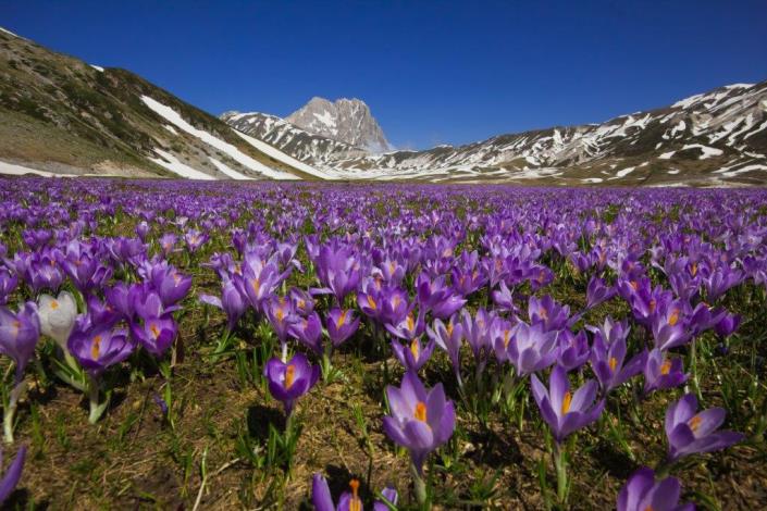 Image No.49-Maison de village de 2 chambres à vendre à Torricella Peligna