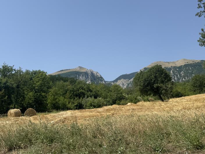 Image No.29-Bungalow de 1 chambre à vendre à Palombaro
