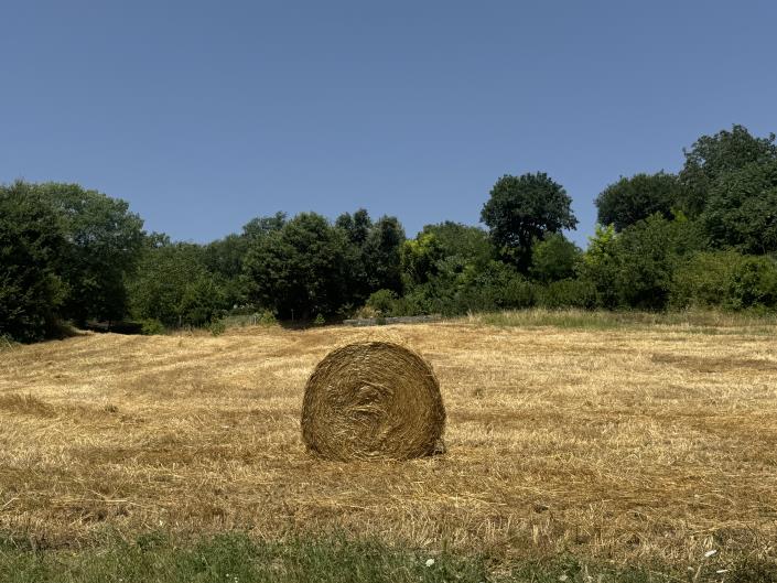Image No.30-Bungalow de 1 chambre à vendre à Palombaro