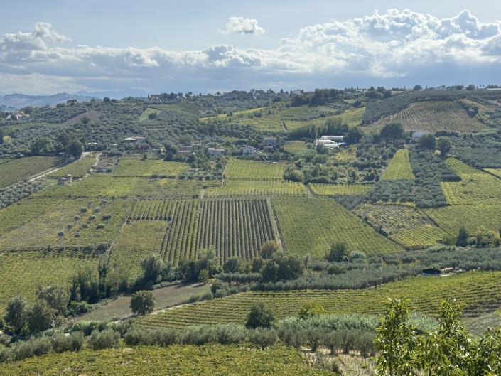 Image No.6-Maison de 3 chambres à vendre à Frisa