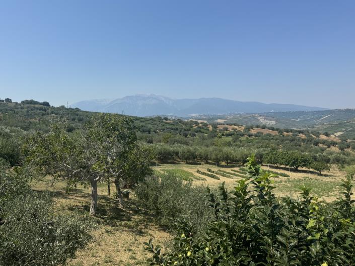 Image No.5-Appartement à vendre à Castél Frentano