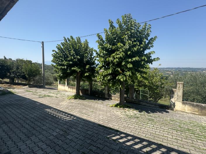 Image No.39-Appartement à vendre à Castél Frentano