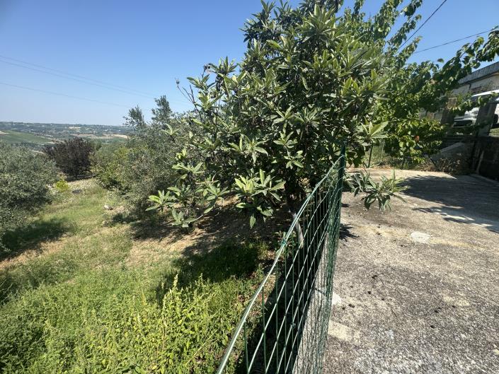 Image No.43-Appartement à vendre à Castél Frentano