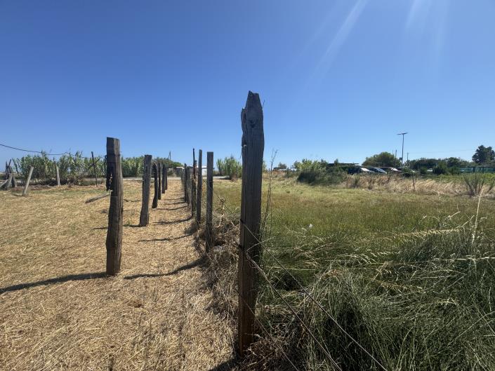 Image No.39-Terre à vendre à Francavilla al Mare