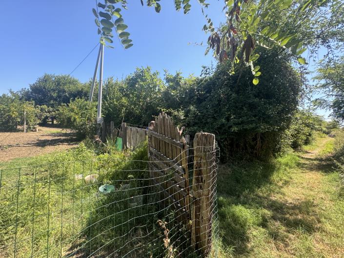 Image No.40-Terre à vendre à Francavilla al Mare