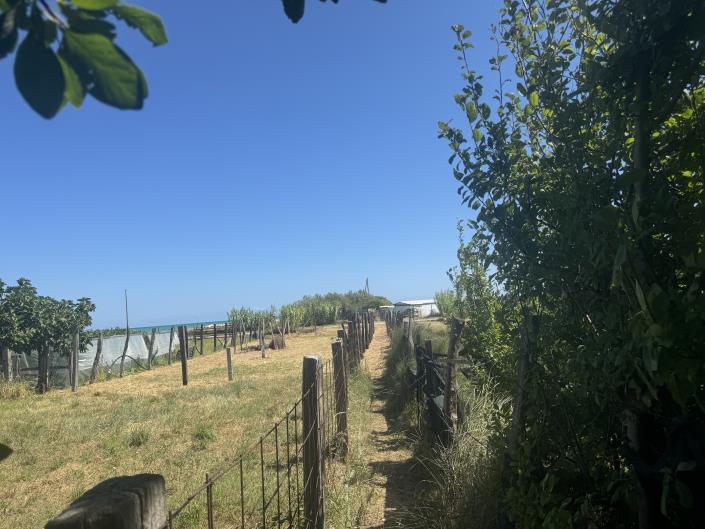 Image No.41-Terre à vendre à Francavilla al Mare