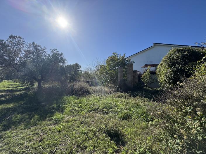 Image No.42-Ferme de 2 chambres à vendre à Rocca San Giovanni