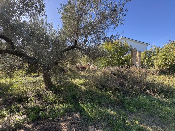 Image No.43-Ferme de 2 chambres à vendre à Rocca San Giovanni