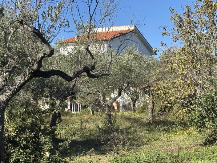 Image No.45-Ferme de 2 chambres à vendre à Rocca San Giovanni