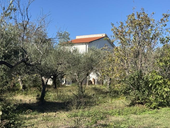 Image No.2-Ferme de 2 chambres à vendre à Rocca San Giovanni