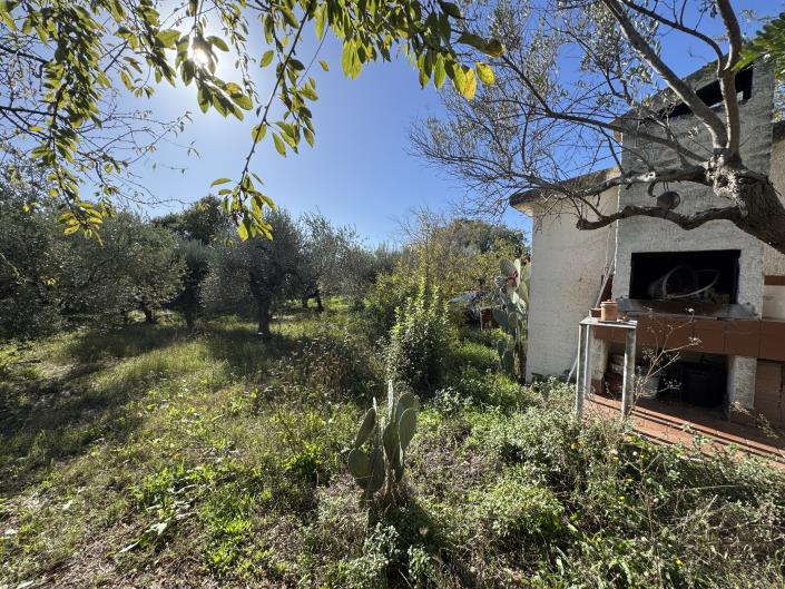 Image No.56-Ferme de 2 chambres à vendre à Rocca San Giovanni