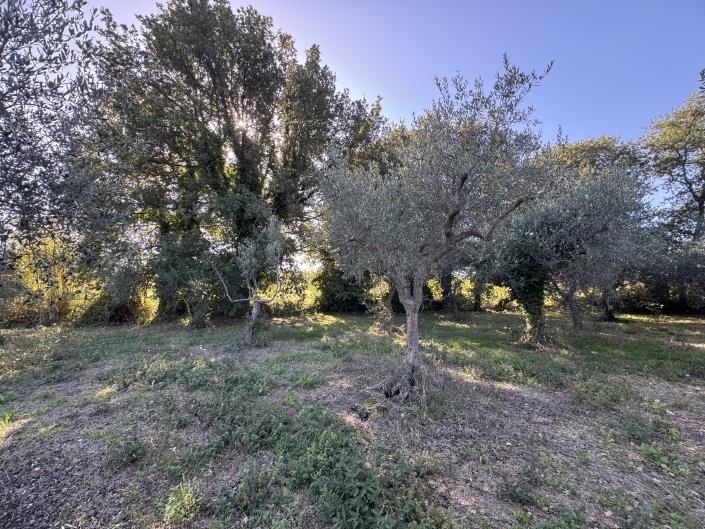 Image No.57-Ferme de 2 chambres à vendre à Rocca San Giovanni