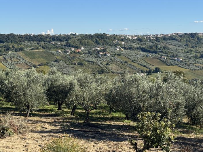 Image No.8-Villa / Détaché à vendre à Frisa