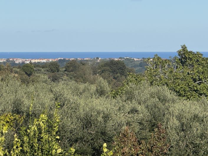 Image No.15-Villa / Détaché à vendre à Frisa