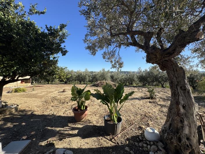 Image No.20-Villa / Détaché à vendre à Frisa