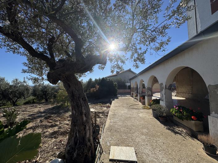 Image No.22-Villa / Détaché à vendre à Frisa