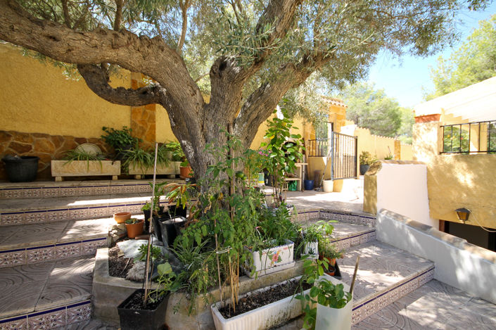 Image No.36-Villa de 5 chambres à vendre à Orihuela Costa