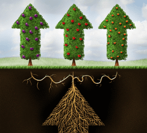 image-600-x-600-px-19-600x540