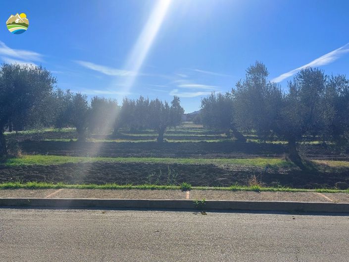 Image No.4-Land for sale