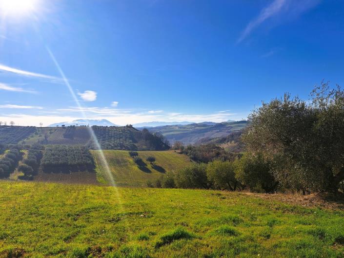 Image No.13-4 Bed Country House for sale