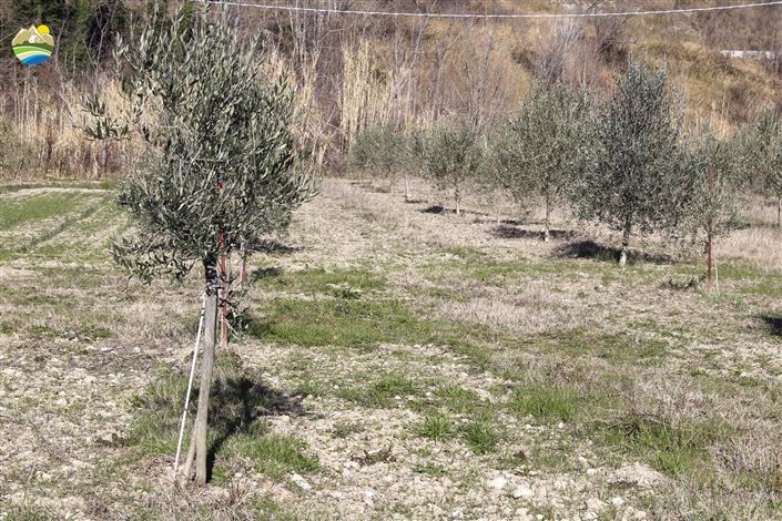 Image No.24-2 Bed Country House for sale