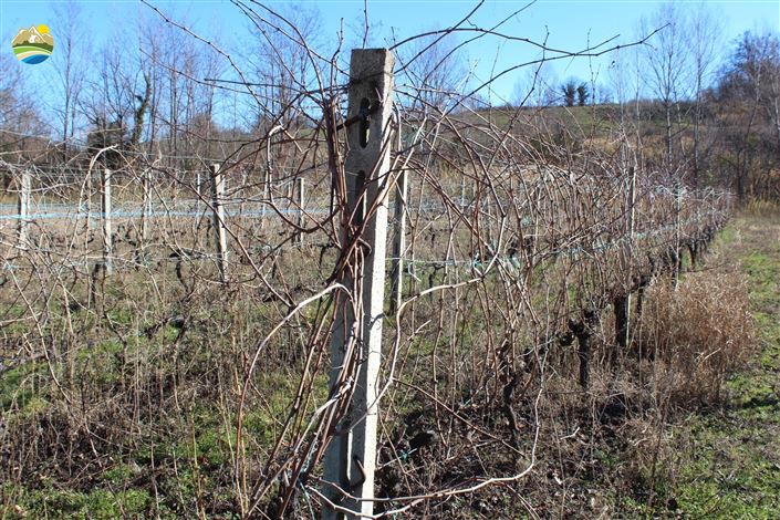 Image No.26-2 Bed Country House for sale