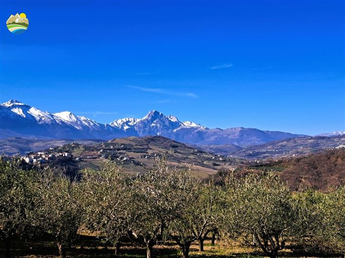 Image No.5-1 Bed Country House for sale