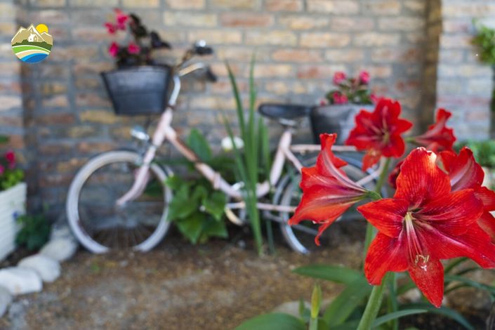 Image No.53-9 Bed Villa for sale