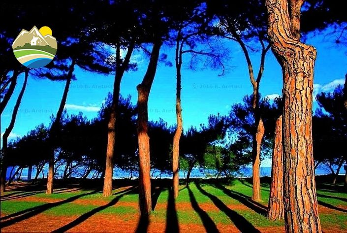 Image No.29-2 Bed Country House for sale