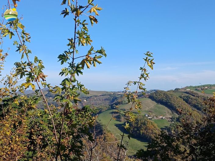 Image No.42-4 Bed Country House for sale