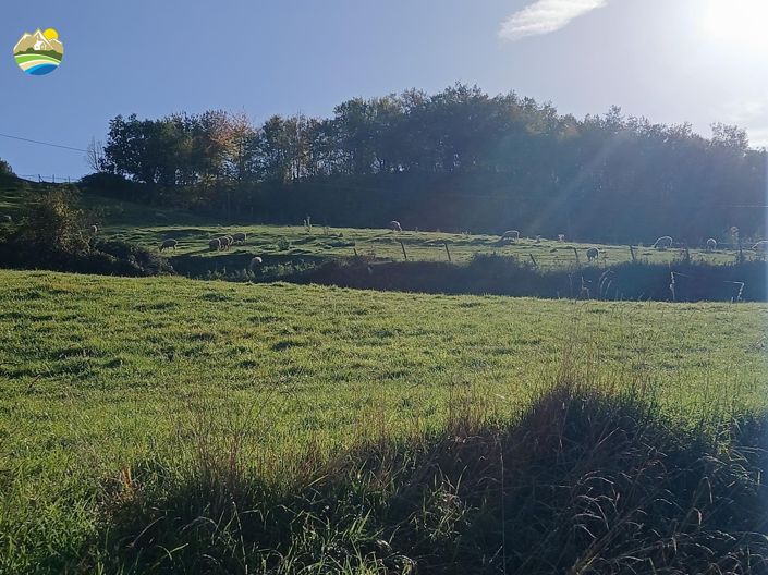 Image No.45-4 Bed Country House for sale