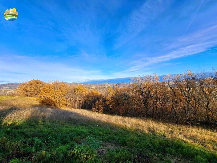 Image No.12-2 Bed Cottage for sale