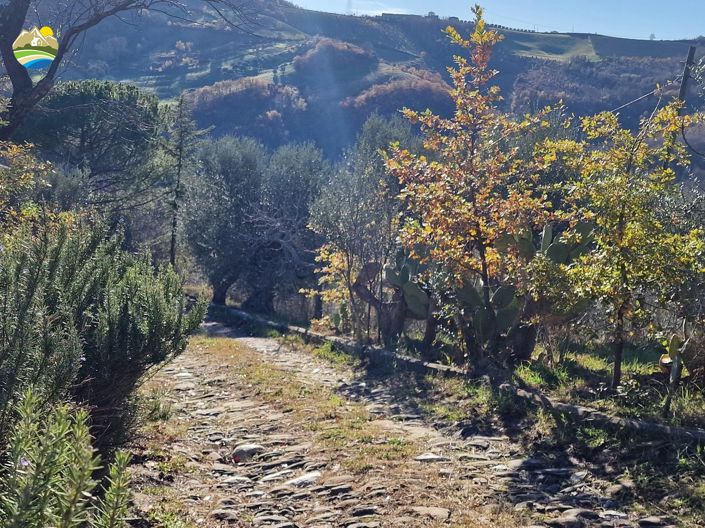 Image No.11-4 Bed Country House for sale