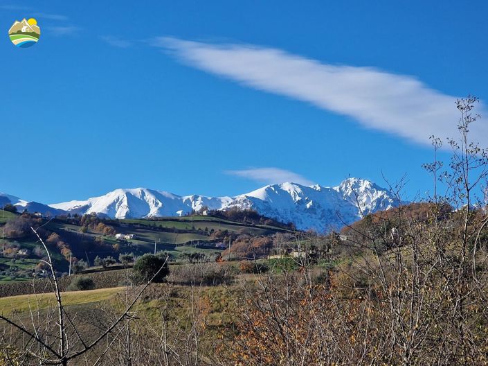 Image No.8-4 Bed Country House for sale