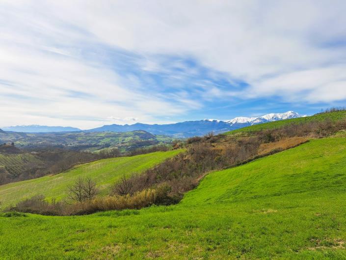 Image No.29-3 Bed Villa for sale