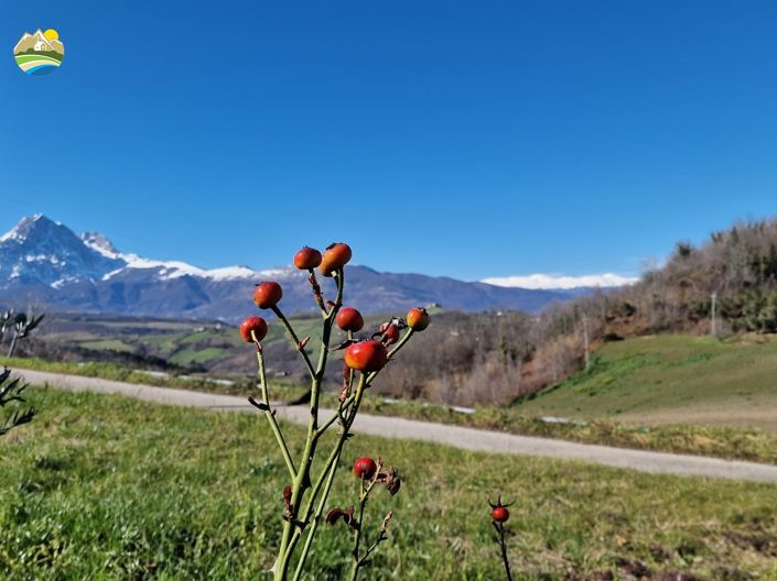 Image No.24-2 Bed Country House for sale