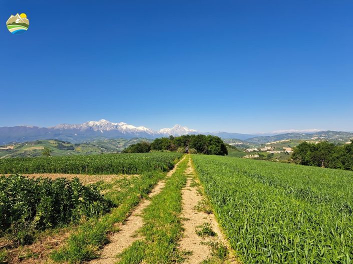 Image No.27-3 Bed Villa for sale