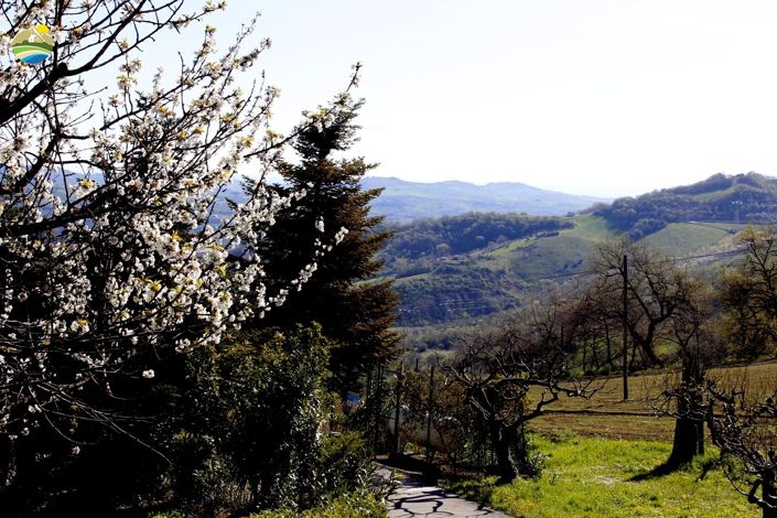 Image No.24-2 Bed Country House for sale