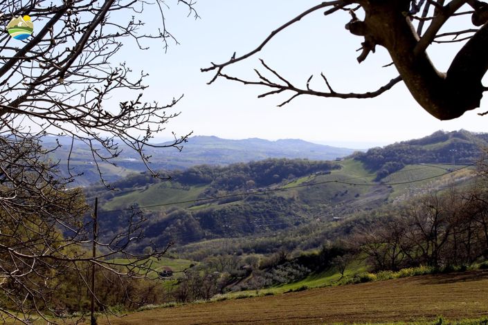 Image No.7-2 Bed Country House for sale