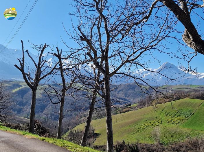 Image No.24-Maison de campagne de 3 chambres à vendre à Bisenti